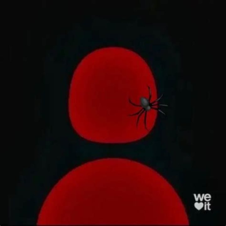 Discovering The Enigma Of 1luvxs: A Journey Through Passion And Creativity