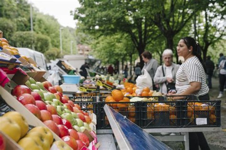 Unraveling The Mystique Of Azoka: A Journey Through Tradition And Innovation