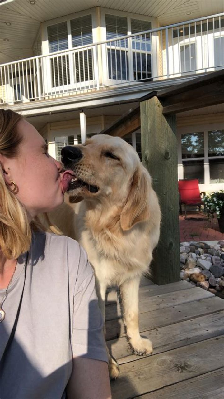 Unforgettable Moments: The Joy Of A Big Dog Kiss
