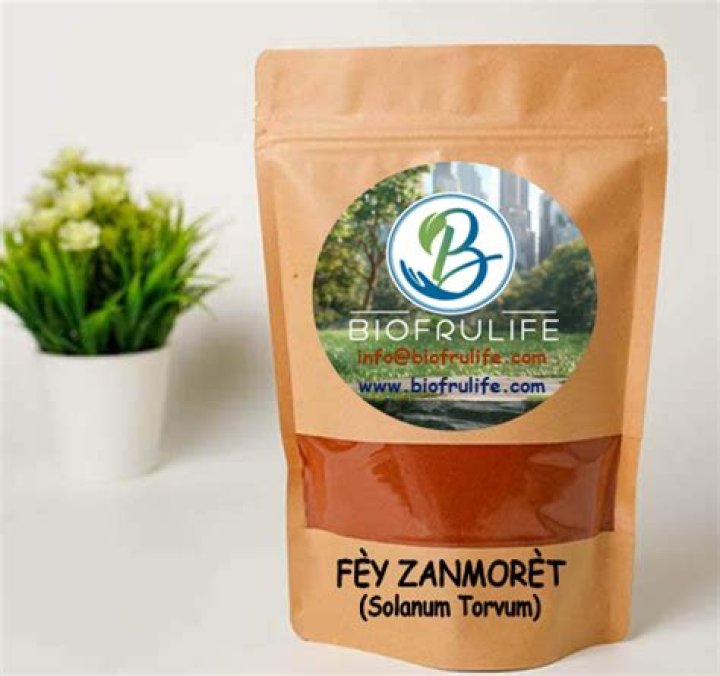 Discovering The Enigmatic Fey Zanmoret In English