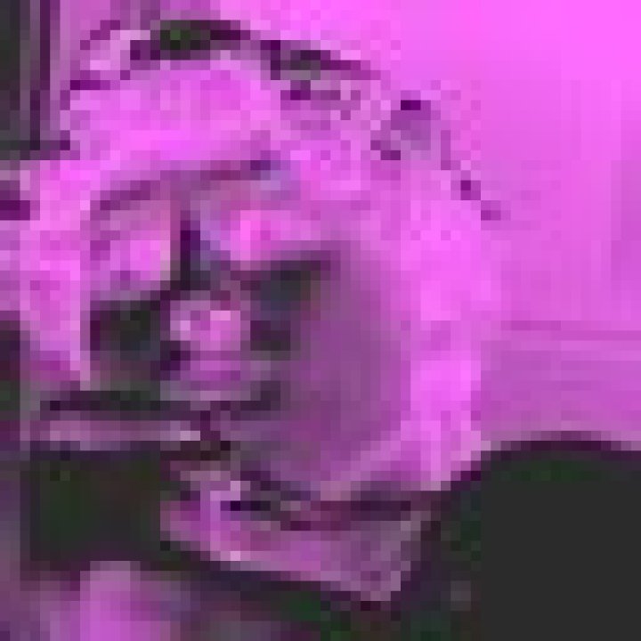 Embracing The HairyMom: A Journey Of Confidence And Self-Acceptance