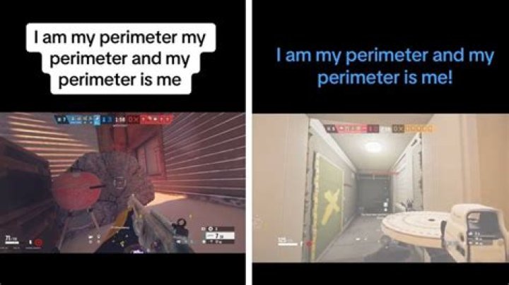 I Am My Perimeter: Defining Boundaries In Life