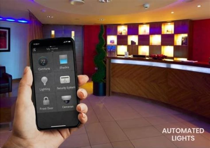 Illuminating The Path: Understanding Light System Organisation