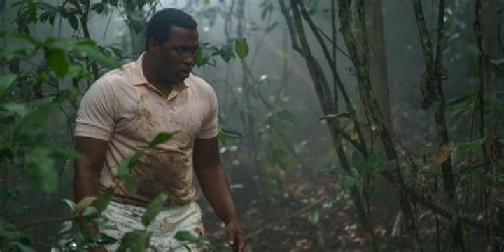 Discover The Captivating Saint X Location