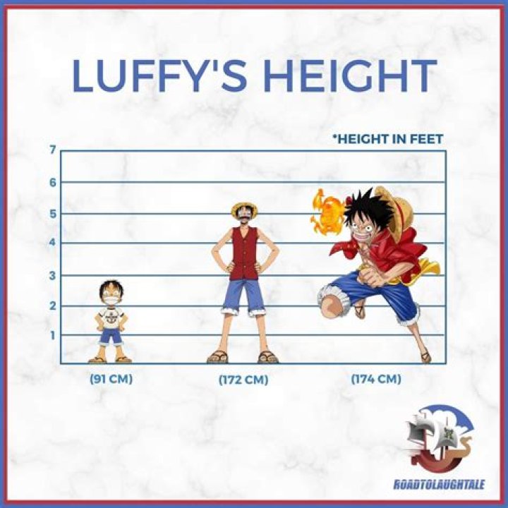Understanding Tyka Height: Insights And Information
