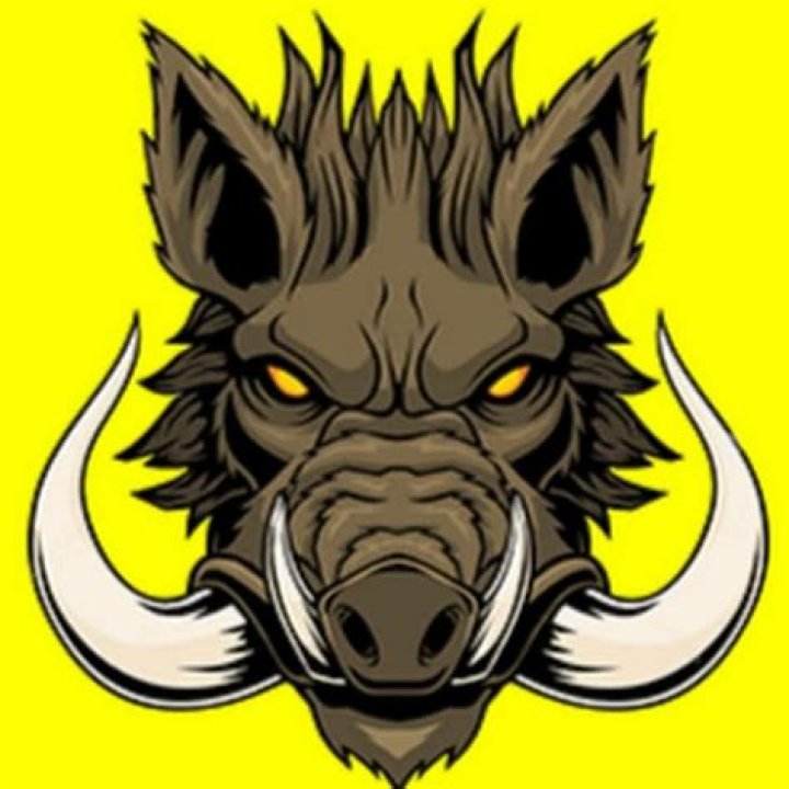 Unraveling The Mystery Of Mellstroy's Marital Status